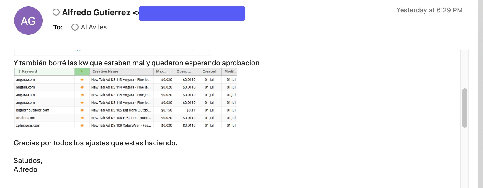 Email real de un cliente agradeciendo el soporte y los ajustes hechos por ALGPT en sus campañas